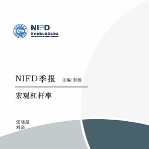 NIFD：NIFD季报锚定物价目标-继续为“名义”而战-2024年一季度中国杠杆率报告 ...