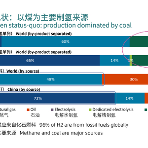 可再生氢在中国的前景及其在工业脱碳中的作用