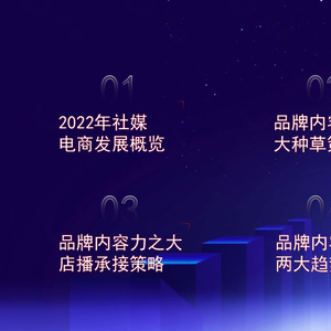 2023年社媒电商下品牌的破圈之路