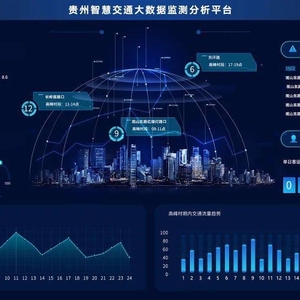 市智能交通运行监测系统（TOCC）可行性研究报告