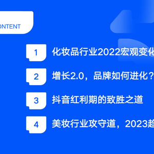 2022化妆品行业年度复盘及趋势发布