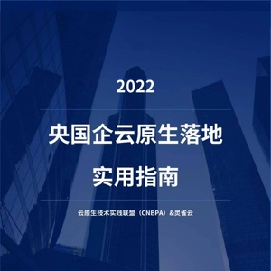 CNBPA&amp;灵雀云：2022央国企云原生落地实用指南