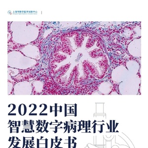 上海市数学医学创新中心：2022年中国智慧数字病理行业发展白皮书 ...