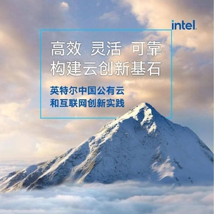 英特尔：中国公有云和互联网创新实践（2023）附下载
