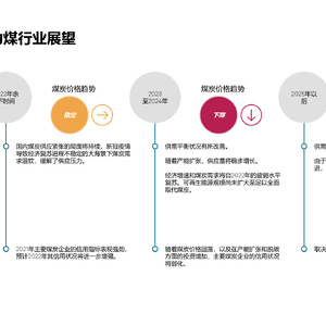 信用展望取决于政府政策和能源转型