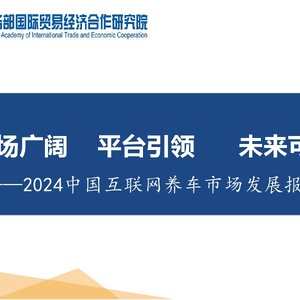 CAITEC：2024年中国互联网养车市场发展报告